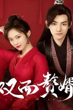 双面赘婿不好惹