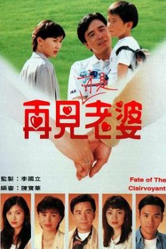 再见亦是老婆国语