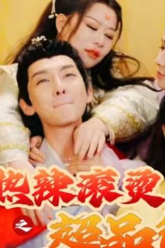 热辣滚烫之超品御医