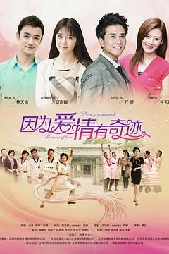 因为爱情有奇迹 DVD版