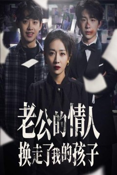 老公的情人换走了我的孩子(因果报应重生后我夺回了孩子)