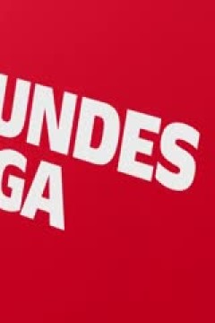 德甲 奥格斯堡vs勒沃库森 20240113(周楚雄)