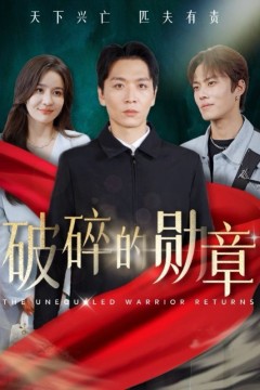 破碎的勋章(被戏子侮辱后我国士的身份曝光)