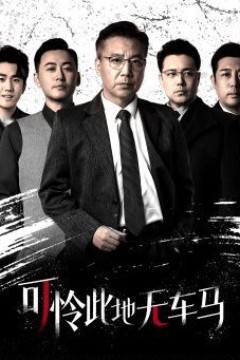 可怜此地无车马(我骑个电驴怎么了)