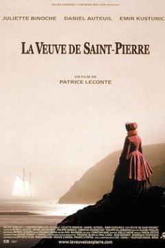 圣皮埃尔的寡妇