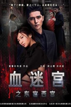 血迷宫之东宫西宫