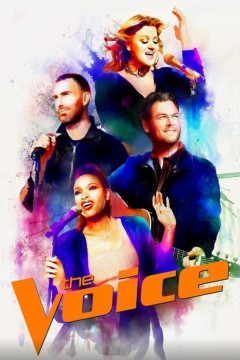 美国之声第二十八季