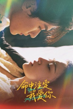 命中注定我爱你