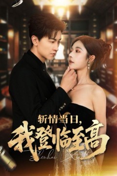 斩情当日我登临至高