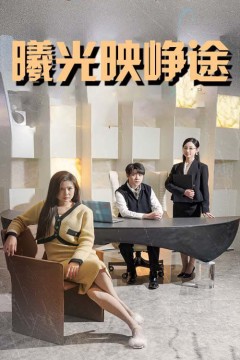 曦光映峥途(错把瓦砾当明珠)