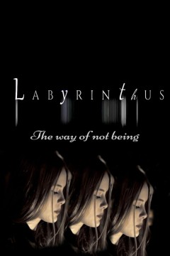 迷宫：不存在的方式