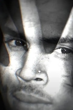 克里斯·布朗：暴力史