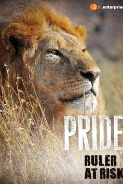 骄傲：统治者面临危险