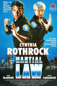 特别突击队(国语版)