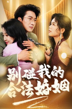 别碰我的合法婚姻&amp;天大地大老婆最大