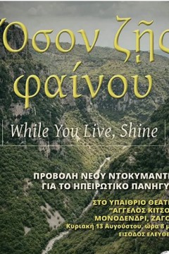 当你活着的时候，闪耀