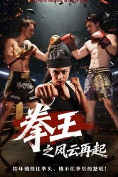 拳王之风云再起