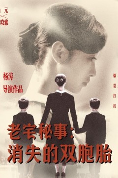 老宅秘事消失的双胞胎