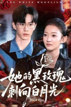 她的黑玫瑰刺向白月光