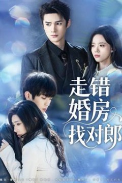 走错婚房找对郎