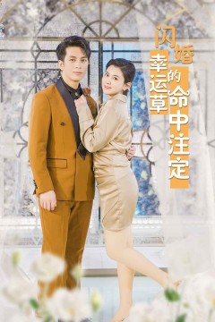 闪婚幸运草的命中注定