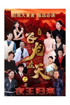 飞龙在天之夜王归来