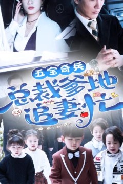 五宝奇兵总裁爹地追妻忙