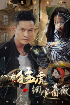 心有猛虎细嗅蔷薇