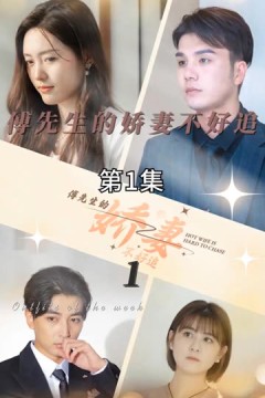 傅先生的娇妻不好追