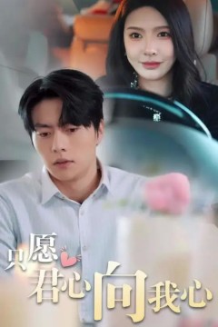 只愿君心向我心