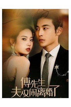 傅先生夫人又闹离婚了