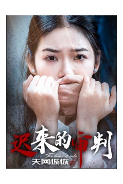 天网恢恢之迟来的审判