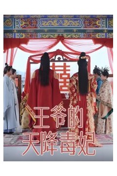 王爷的天降毒妃