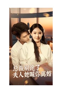 总裁别跪了，夫人她喊你离婚