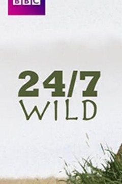 全天候野生动物追踪