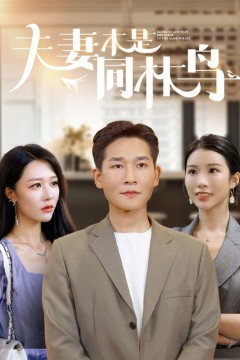 夫妻本是同林鸟