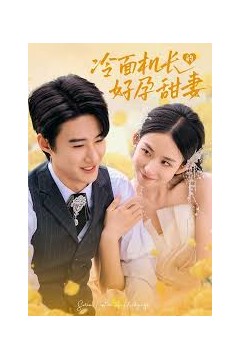 冷面机长的好孕甜妻