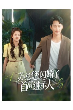 苏总您闪婚了首富继承人