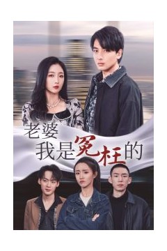 老婆我是冤枉的