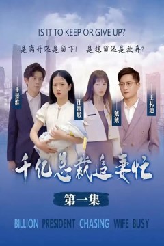 千亿总裁追妻忙