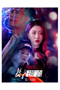 万箭穿心之妻子的谎言