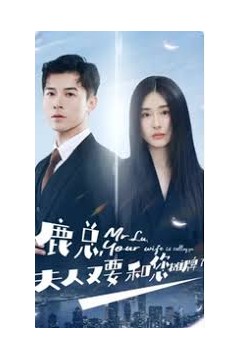 鹿总夫人又要和您摊牌了