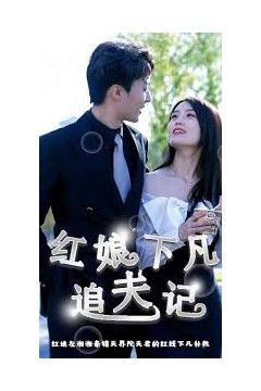 红娘下凡追夫记
