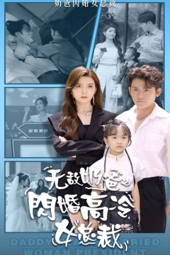 无敌奶爸闪婚高冷女总裁