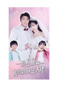 一胎双宝，我的妈咪是大佬