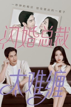 闪婚总裁太难缠