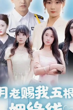 月老赐我五根姻缘线