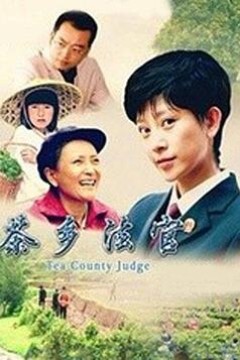 茶乡法官
