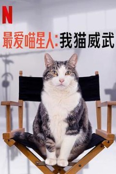 最爱喵星人：我猫威武
