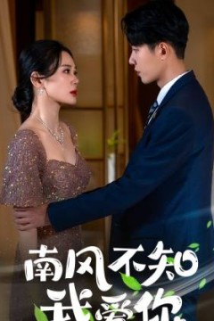 南风不知我爱你